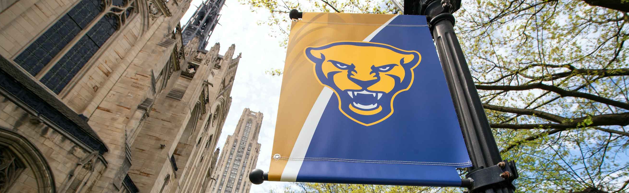 Pitt panther flag in front of cathedral